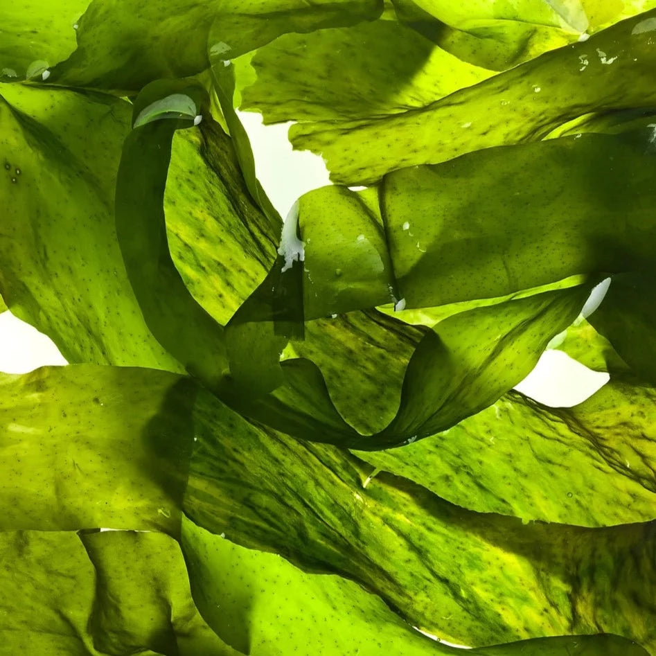 FIGS & ROUGE CLARITY Serum Perfeccionador de la piel 30ml