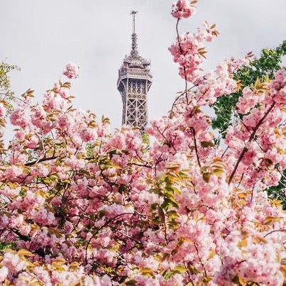 Nectar du Monde Champú Serúm Momento 33 Imagine 300ml