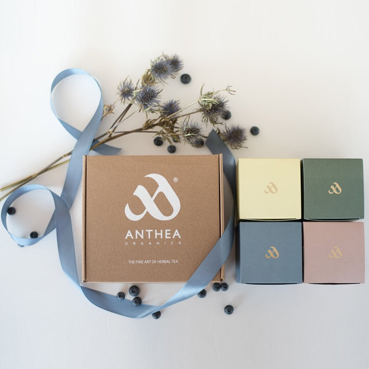 Anthea Organics Discovery 4 Té orgánico