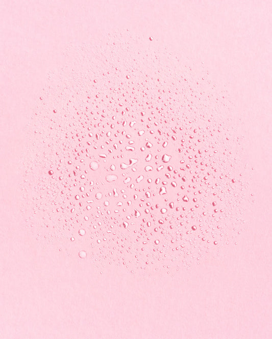 Earth Harbor Tildal Rose Bruma facial hidratante 60ml