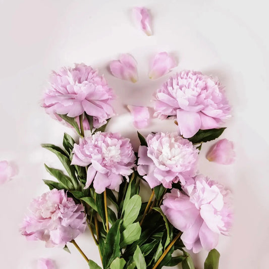 SCENTORIE Vela perfumada vegana Love Artist 300g