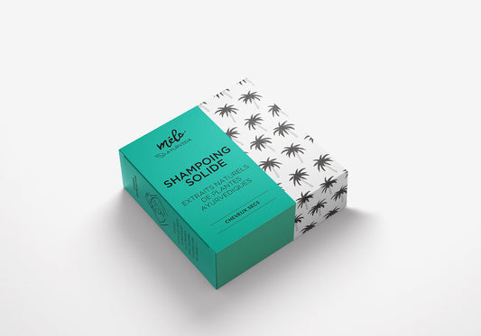 Melo Ayurveda shampú solido para cabellos secos