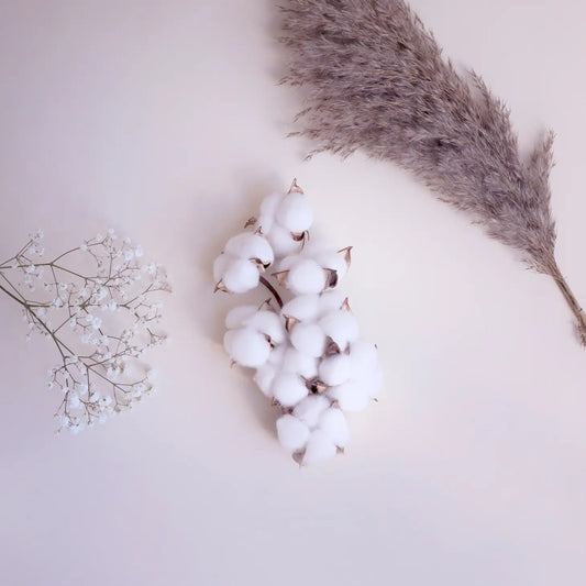 SCENTORIE Vela perfumada vegana Cosy Blanket 300g