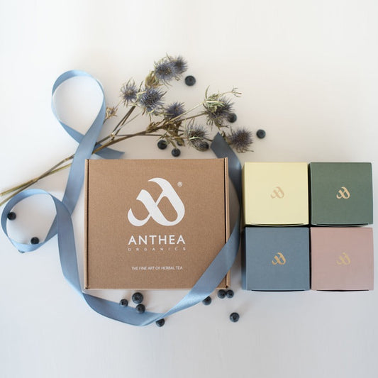 Anthea Organics Discovery  4 Té orgánico